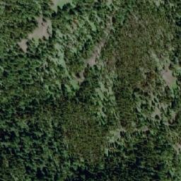 Satellite imagery of Mount Wallace, CA