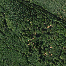 Satellite imagery of Kirchberg, DE