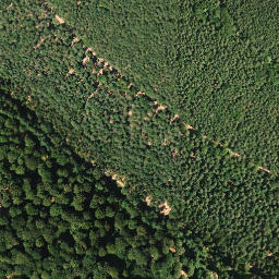 Satellite imagery of Drachenfels, DE