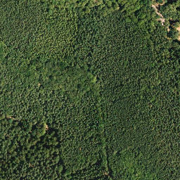 Satellite imagery of Drachenfels, DE