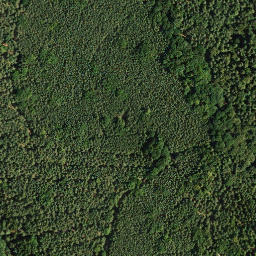 Satellite imagery of Weisenberg, DE