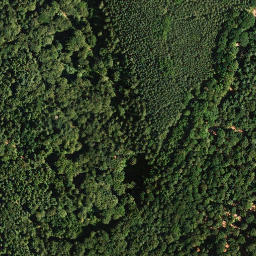 Satellite imagery of Weisenberg, DE
