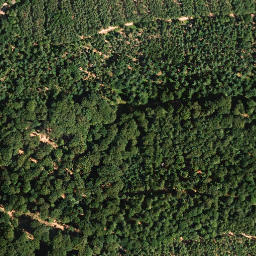 Satellite imagery of Weisenberg, DE