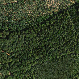 Satellite imagery of Neidenfelser Eck, DE