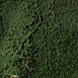 Satellite imagery of Seekopf, DE