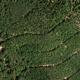 Satellite imagery of Plankenberg, DE