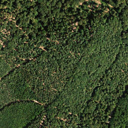 Satellite imagery of Plankenberg, DE