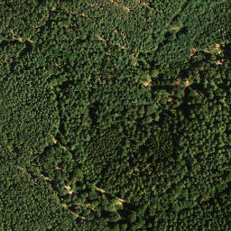 Satellite imagery of Vorderer Langenberg, DE