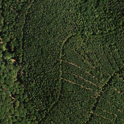 Satellite imagery of Eckkopf, DE