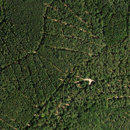 Satellite imagery of Eckkopf, DE