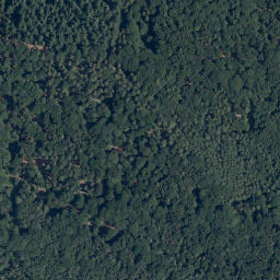 Satellite imagery of Hoher Darsberg, DE