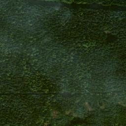 Satellite imagery of Spálený kopec [Pikárec], CZ