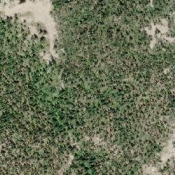 Satellite imagery of Ladybird Mountain, CA