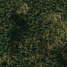 Satellite imagery of Toad Mountain, CA