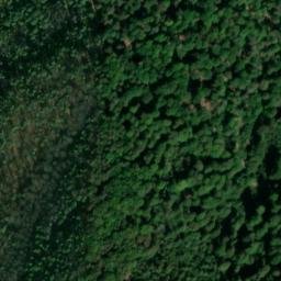 Satellite imagery of Fernmeldeturm Dansenberg, DE