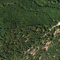 Satellite imagery of Kirchberg, DE