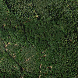 Satellite imagery of Weisenberg, DE