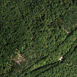 Satellite imagery of Weisenberg, DE