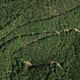 Satellite imagery of Weisenberg, DE