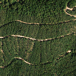 Satellite imagery of Seekopf, DE