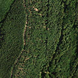 Satellite imagery of Plankenberg, DE