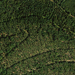 Satellite imagery of Vorderer Langenberg, DE