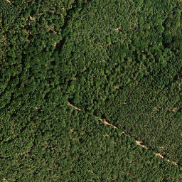 Satellite imagery of Eckkopf, DE