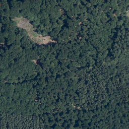 Satellite imagery of Hoher Darsberg, DE
