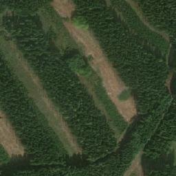 Satellite imagery of Na Nivách [Bory-Dolní Bory], CZ