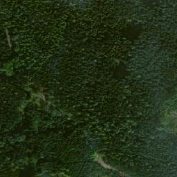 Satellite imagery of Spálený kopec [Pikárec], CZ