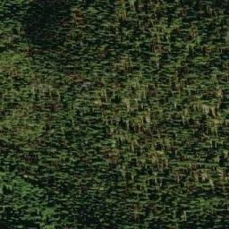 Satellite imagery of Toad Mountain, CA