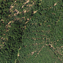 Satellite imagery of Kirchberg, DE