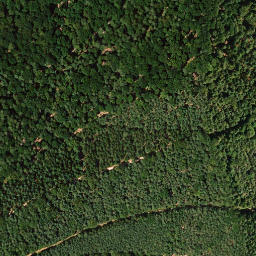 Satellite imagery of Weisenberg, DE
