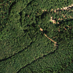 Satellite imagery of Weisenberg, DE