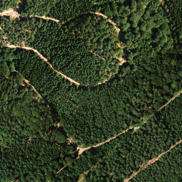 Satellite imagery of Weisenberg, DE