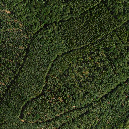 Satellite imagery of Vorderer Langenberg, DE