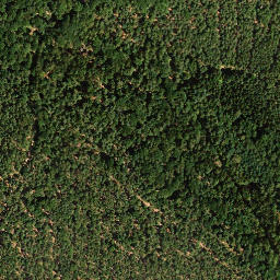 Satellite imagery of Vorderer Langenberg, DE