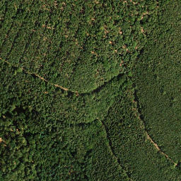 Satellite imagery of Eckkopf, DE