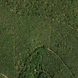 Satellite imagery of Eckkopf, DE