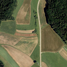 Satellite imagery of Buchenberg, DE