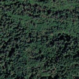 Satellite imagery of Mount Collins, CA
