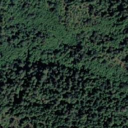 Satellite imagery of Mount Collins, CA