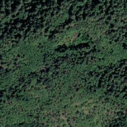 Satellite imagery of Mount Collins, CA