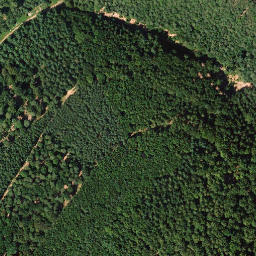 Satellite imagery of Hohe Loog, DE