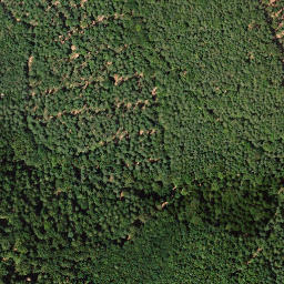 Satellite imagery of Hohe Loog, DE