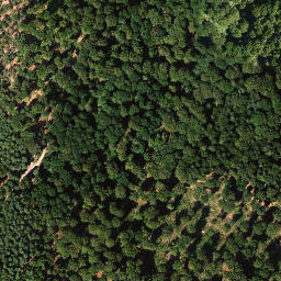 Satellite imagery of Hohe Loog, DE