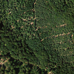 Satellite imagery of Salweidenkopf, DE