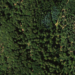 Satellite imagery of Salweidenkopf, DE