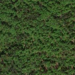 Satellite imagery of Büchleinsberg, DE