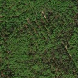 Satellite imagery of Büchleinsberg, DE